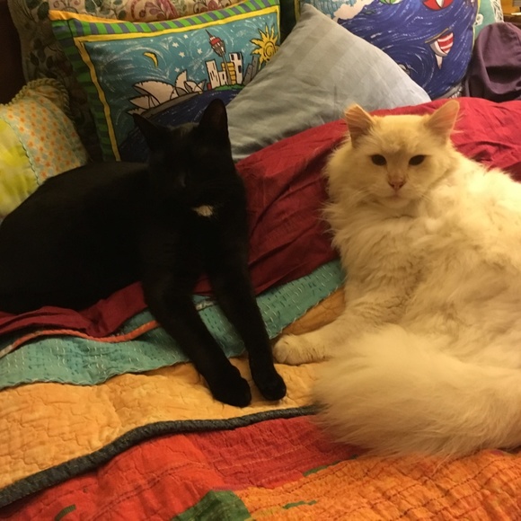 Meet your Posher, Redmontster. - Picture 12 of 15